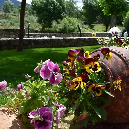 Rural A Velha Fabrica