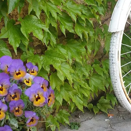 Rural A Velha Fabrica Hotel