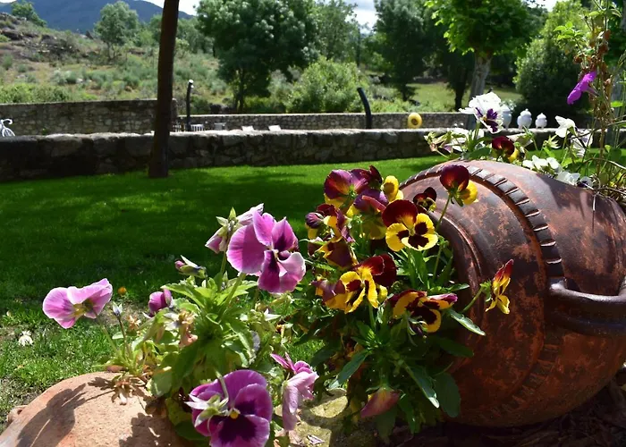 Rural A Velha Fabrica
