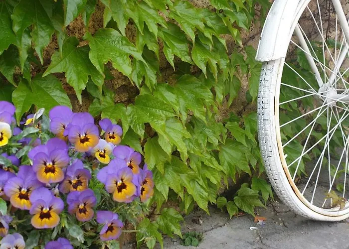 Rural A Velha Fabrica Hotel